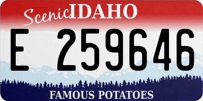 ID license plate E259646