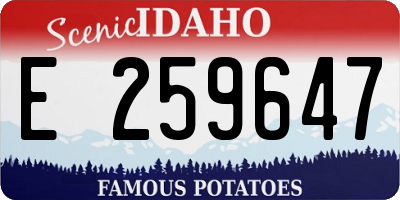 ID license plate E259647