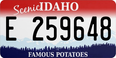 ID license plate E259648