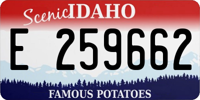 ID license plate E259662