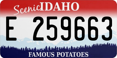ID license plate E259663