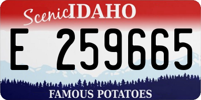ID license plate E259665