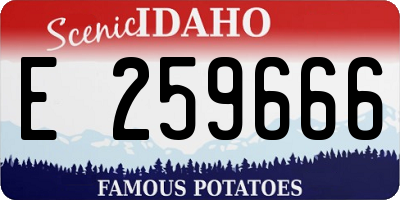ID license plate E259666