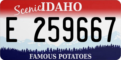ID license plate E259667