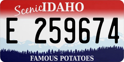 ID license plate E259674