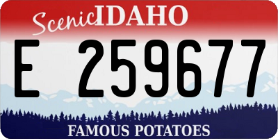 ID license plate E259677
