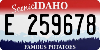 ID license plate E259678