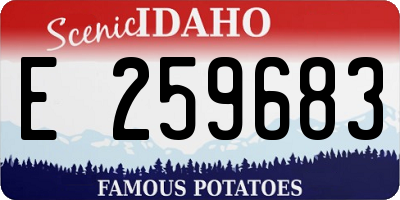 ID license plate E259683