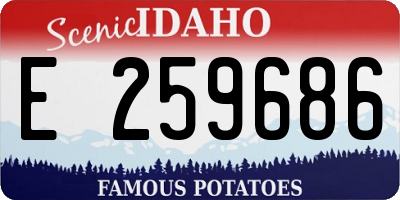 ID license plate E259686