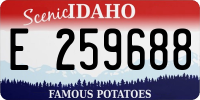 ID license plate E259688