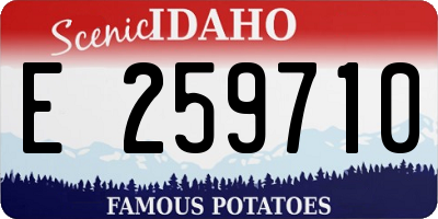 ID license plate E259710