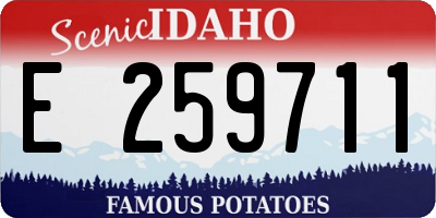 ID license plate E259711