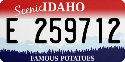 ID license plate E259712