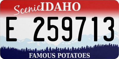 ID license plate E259713