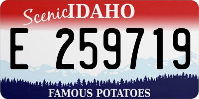 ID license plate E259719