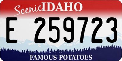 ID license plate E259723