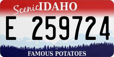 ID license plate E259724