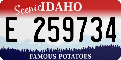 ID license plate E259734