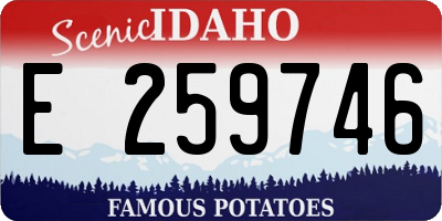 ID license plate E259746