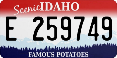 ID license plate E259749