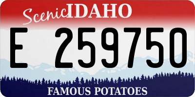 ID license plate E259750