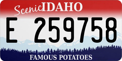 ID license plate E259758