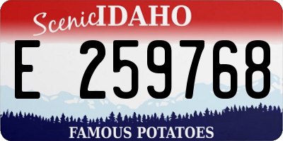ID license plate E259768