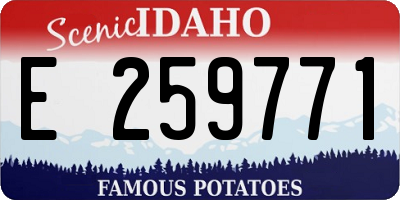 ID license plate E259771
