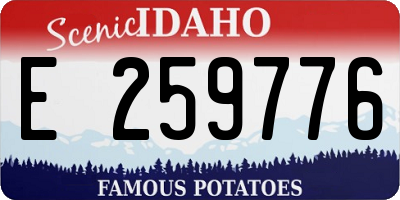 ID license plate E259776