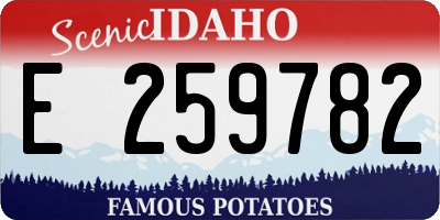 ID license plate E259782