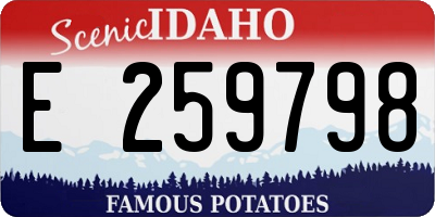 ID license plate E259798