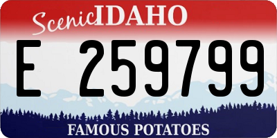 ID license plate E259799