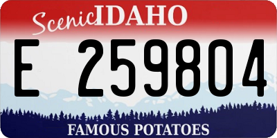 ID license plate E259804