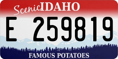 ID license plate E259819