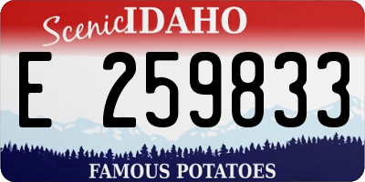 ID license plate E259833