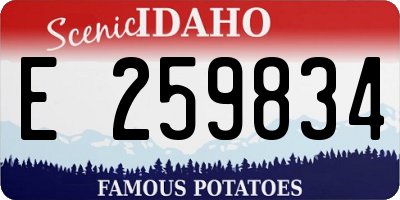 ID license plate E259834