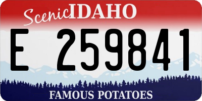 ID license plate E259841