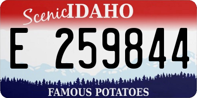 ID license plate E259844
