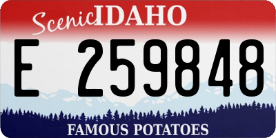 ID license plate E259848