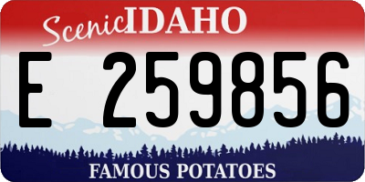 ID license plate E259856