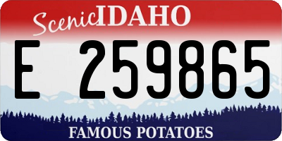 ID license plate E259865
