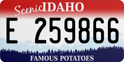 ID license plate E259866
