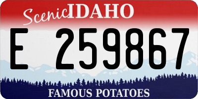 ID license plate E259867