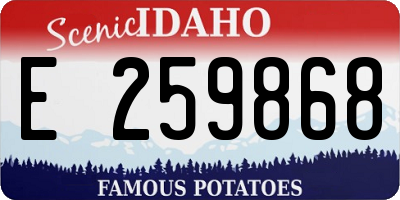 ID license plate E259868