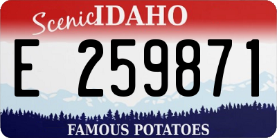 ID license plate E259871