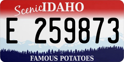 ID license plate E259873