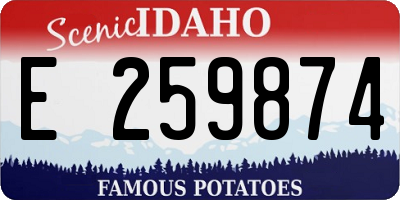 ID license plate E259874