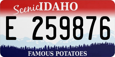 ID license plate E259876