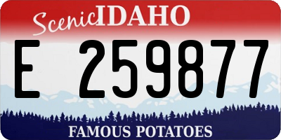 ID license plate E259877