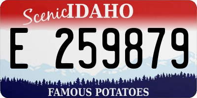 ID license plate E259879